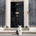Larry the Downing Street cat secretly hoping Kurt Zouma becomes next PM 